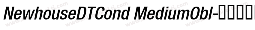 NewhouseDTCond MediumObl字体转换